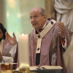 25 Jahre Stadterhebung Gerasdorf / www.markus-goestl.at