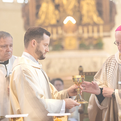 Erzdiözese Wien/Schönlaub, Stephan Schönlaub