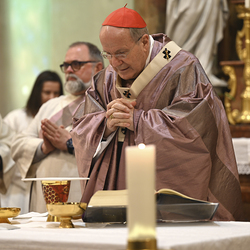 25 Jahre Stadterhebung Gerasdorf / www.markus-goestl.at