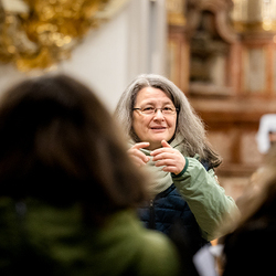 Erzdiözese Wien/Schönlaub